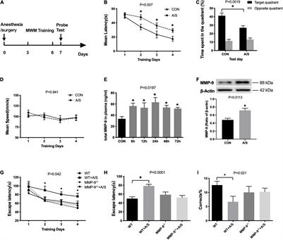 Peripheral Neutrophils-Derived Matrix Metallopeptidase-9 Induces Postoperative Cognitive Dysfunction in Aged Mice
